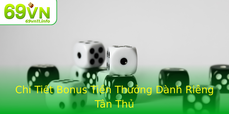 Chi Tiết Bonus Tiền Thưởng Dành Riêng Tân Thủ Chi Tiết Bonus Tiền Thưởng Dành Riêng Tân Thủ
