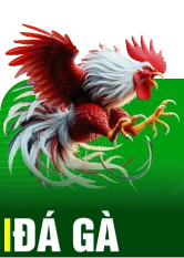 69vn - Trải Nghiệm Nhà Cái Cá Cược Đỉnh Cao Tại Việt Nam 7 Da Ga 500X700 1 1