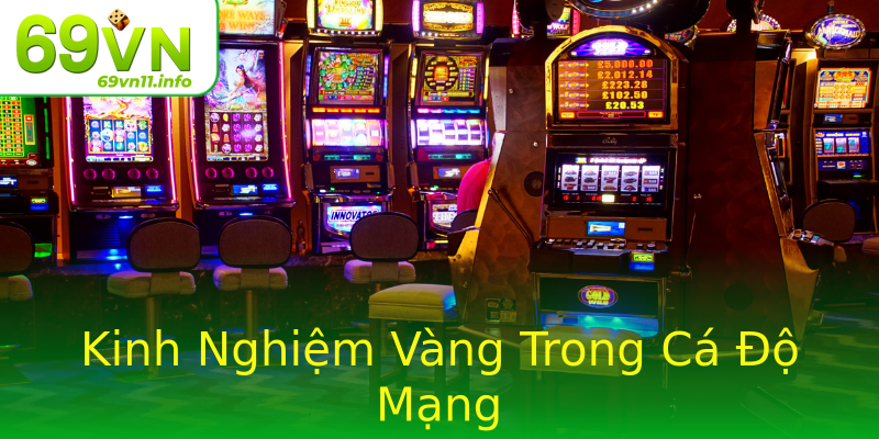 Kinh Nghiệm Vàng Trong Cá Độ Mạng Kinh Nghiệm Vàng Trong Cá Độ Mạng
